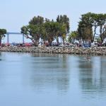 PlasticFantatic_0066 (May 18, 2014)